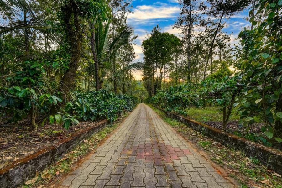 Coorg Bliss Estate Stay Мадикери Экстерьер фото