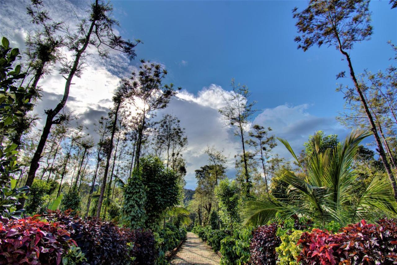 Coorg Bliss Estate Stay Мадикери Экстерьер фото